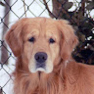 Meet your Posher, Barbra